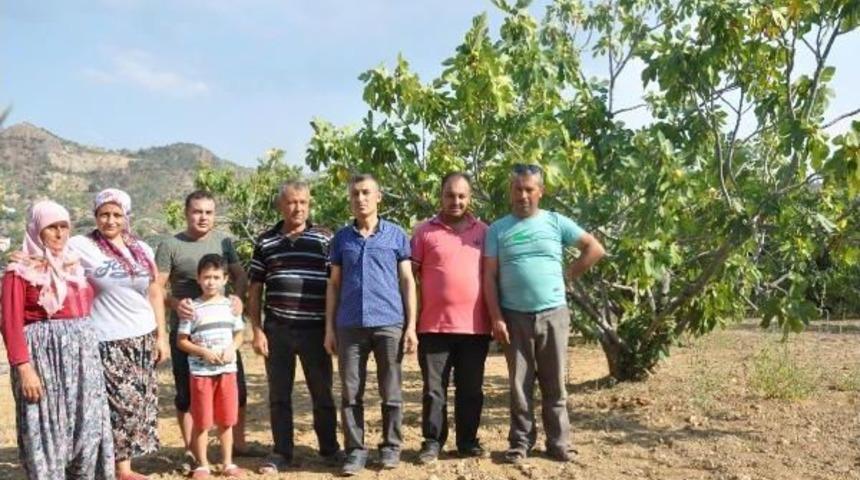 İncir Hasadında Pahalı Iş&ccedil;i Sorunu