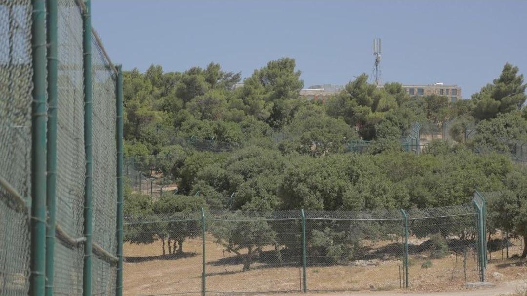 (&ouml;zel Haber) Suriye&rsquo;den T&uuml;rkiye&rsquo;ye Getirilen Hayvanlar &Uuml;rd&uuml;n&rsquo;e Nakledildi