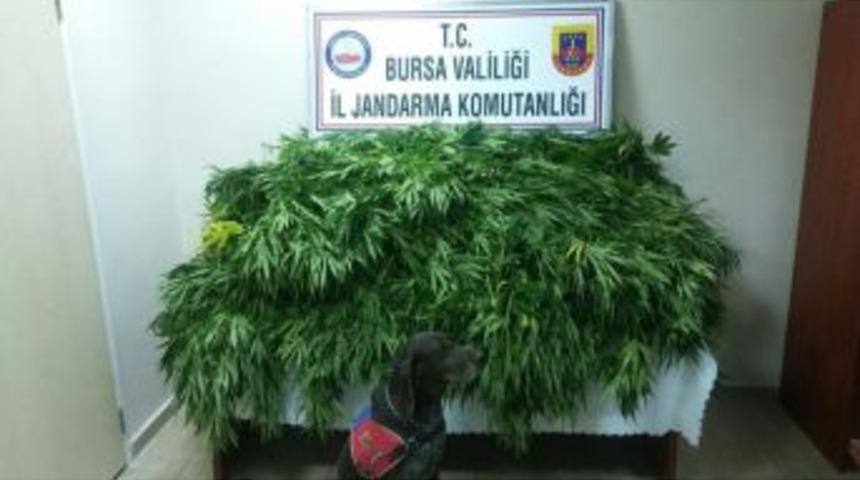 Jandarmadan Su&ccedil; Makinesine Baskın