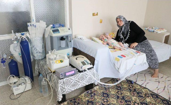 (özel Haber) 15 Aylık Umut Bebeğin Yaşam Savaşı G2