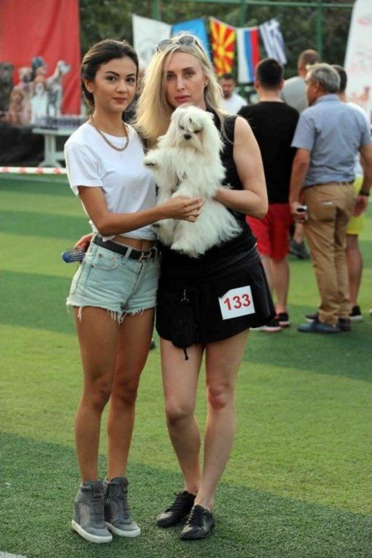 Bayraklı’da Köpek Irkları Yarıştı G2