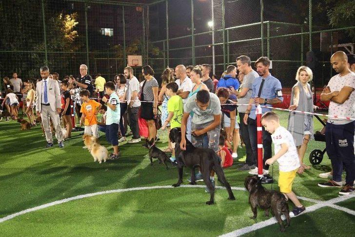 Bayraklı’da Köpek Irkları Yarıştı G5