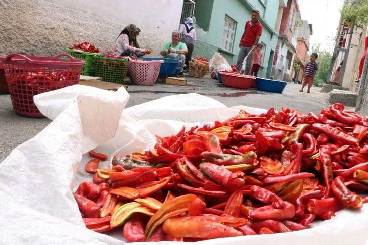 Adana’da Müstakil Evlerin Damları, Çekilmiş Biberler Nedeniyle Kırmızıya Boyandı G2