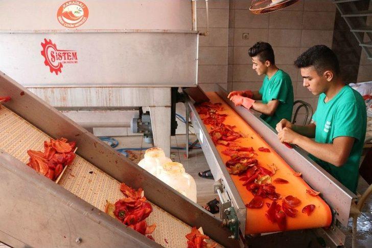 Adana’da Müstakil Evlerin Damları, Çekilmiş Biberler Nedeniyle Kırmızıya Boyandı G3