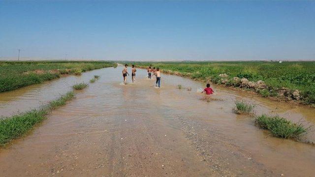 Şanlıurfa’da Çocuklar Asfaltta Yüzüyor