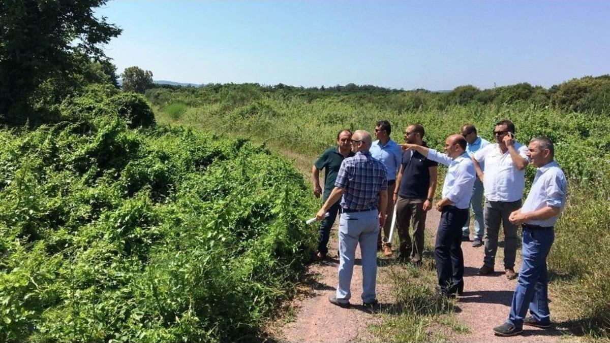 Altınova&rsquo;da Eko Turizm Canlanıyor