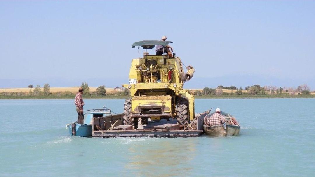 Bi&ccedil;erd&ouml;ver, Beyşehir G&ouml;l&uuml;&rsquo;ndeki Adaya Y&uuml;zd&uuml;r&uuml;lerek G&ouml;t&uuml;r&uuml;ld&uuml;