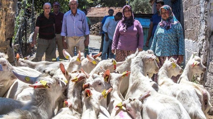 Orman K&ouml;yl&uuml;lerine Ke&ccedil;i Desteği