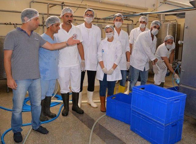 Uludağ Üniversitesi’nden Yaşam Mucizesi Probiyotik Yoğurt