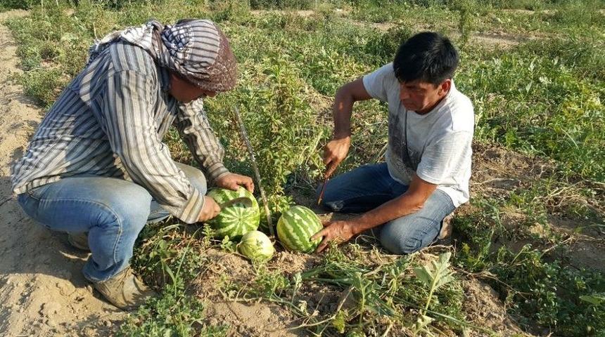 Susuzluk Sorunu &Ccedil;eken &Uuml;reticiden İlgin&ccedil; &Ccedil;&ouml;z&uuml;m