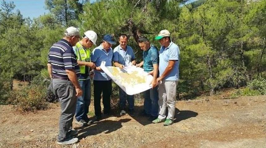 Ormanlarda Gen&ccedil;leştirme &Ccedil;alışmaları Başladı