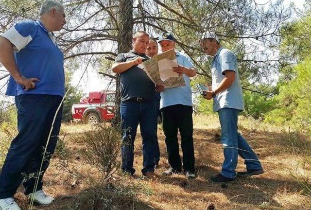 Ormanlarda Gençleştirme Çalışmaları Başladı