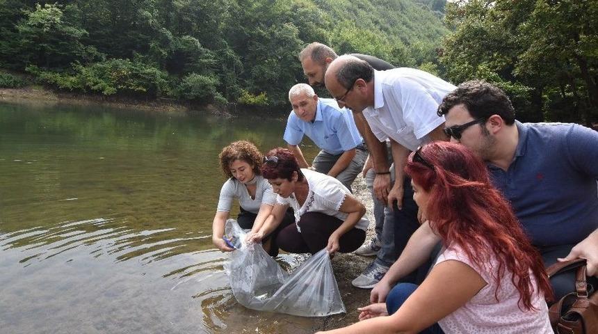 İstanbul&rsquo;daki G&ouml;letlere 111 Bin Yavru Sazan Balığı Bırakıldı