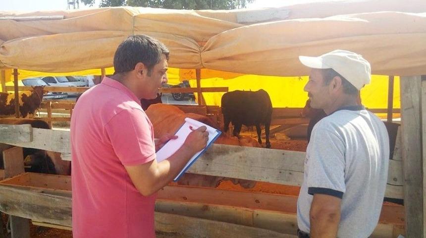 Kurbanlıklar Denetimden Ge&ccedil;ti