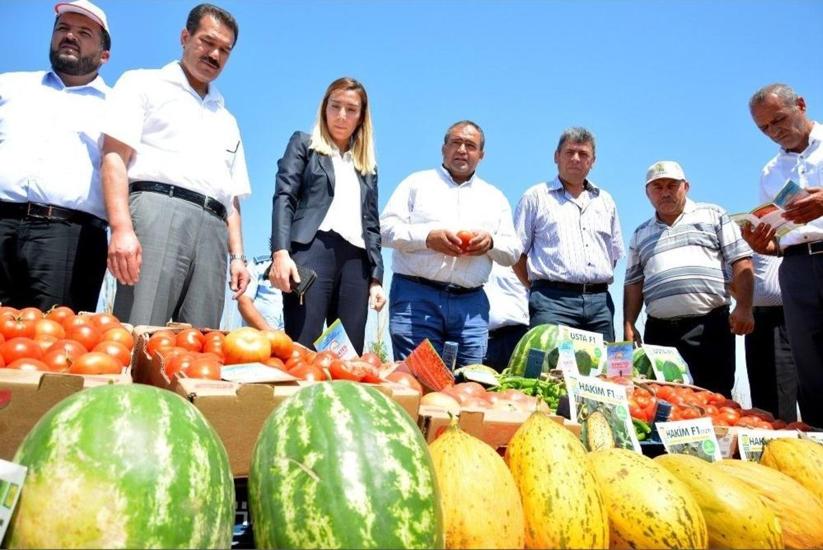 Aksaray&rsquo;da Tarla G&uuml;n&uuml; Programı
