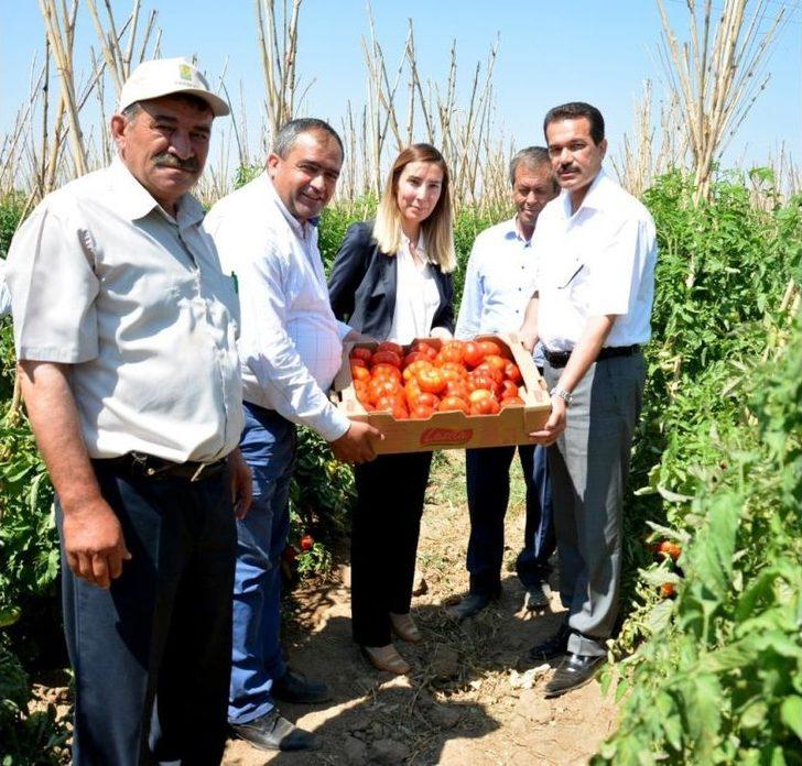 Aksaray’da Tarla Günü Programı G1