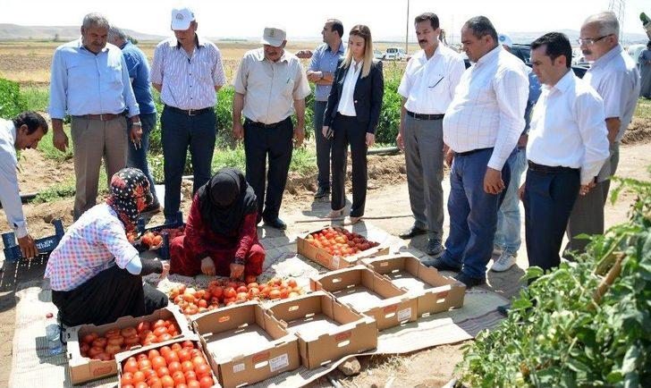 Aksaray’da Tarla Günü Programı G2