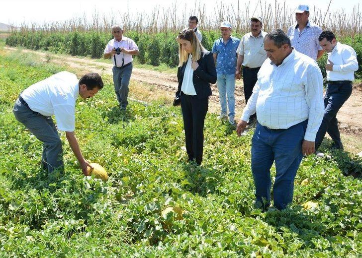Aksaray’da Tarla Günü Programı G3