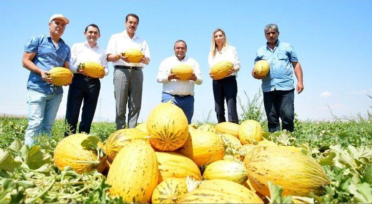 Aksaray’da Tarla Günü Programı G4