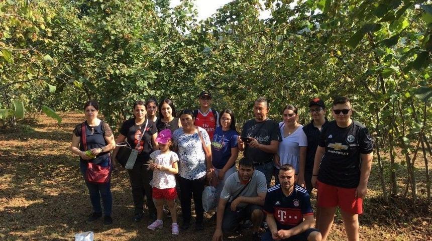 Eskişehirliler Fındık Topladı