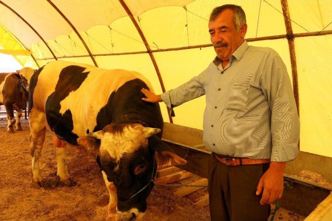 Yozgat&rsquo;ta Araba Fiyatına Kurbanlık Boğa Alıcısını Bekliyor