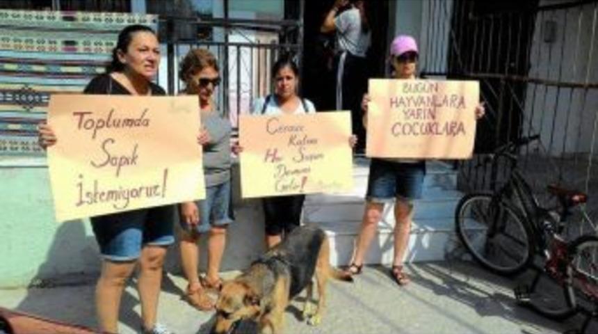 &Ccedil;irkin İddia Hayvanseverleri Ayaklandırdı