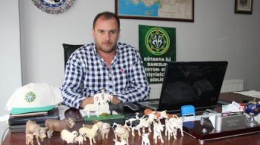 Kurban Keseceklere&rsquo; K&uuml;&ccedil;&uuml;kbaş Hayvan&rsquo; Tavsiyesi