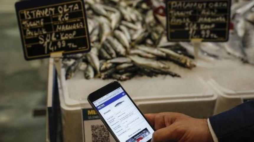 Balıklar, Qr Kodla Kayıt Altına Alınıyor&nbsp;