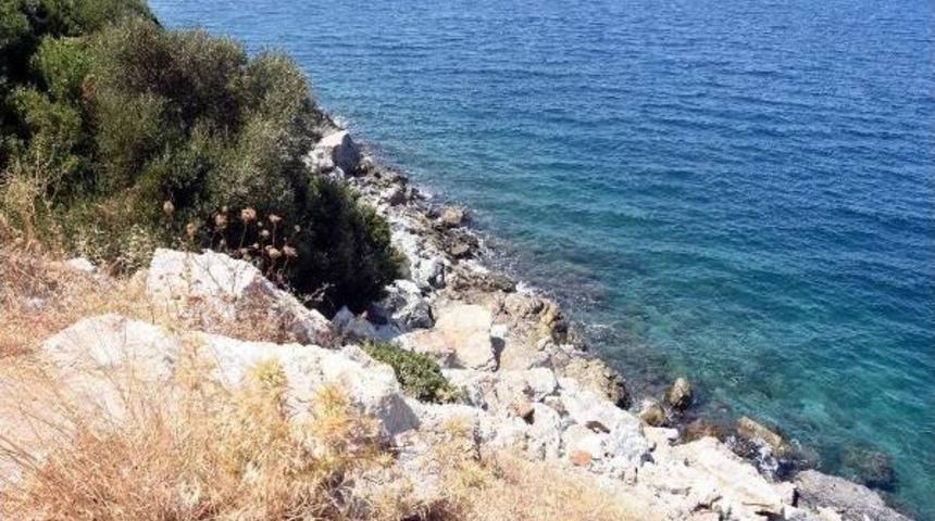 Bodrum'da Zincirleme Kaza: 4 Yaralı