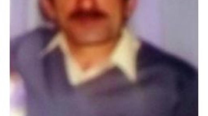 Ordu'da Inek Etinden Ölüm Iddiasına Soruşturma