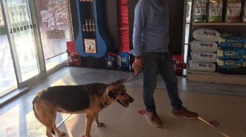 K&ouml;peğe Cinsel Istismar Ş&uuml;phelisinin Serbest Kalmasına Mahalleli Tepkili
