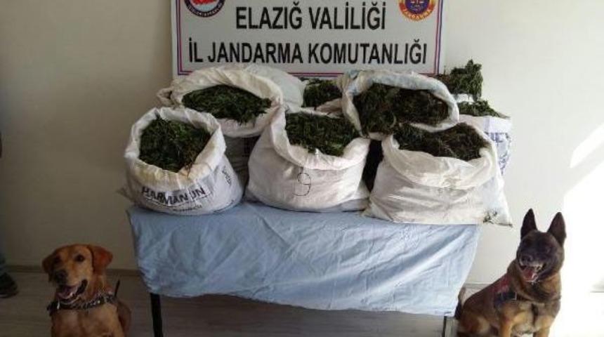 Elazığ'da Uyuşturucu Operasyonu