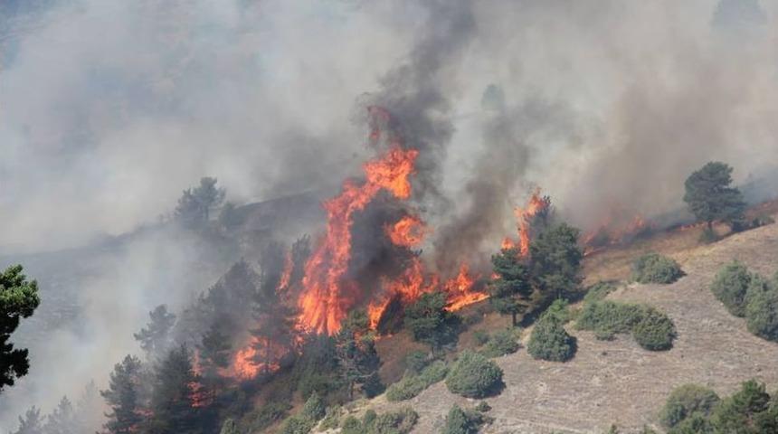 Oltu&rsquo;da Orman Yangını