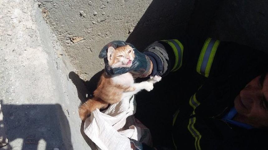 R&ouml;gara Giren Kediyi İtfaiye Kurtardı