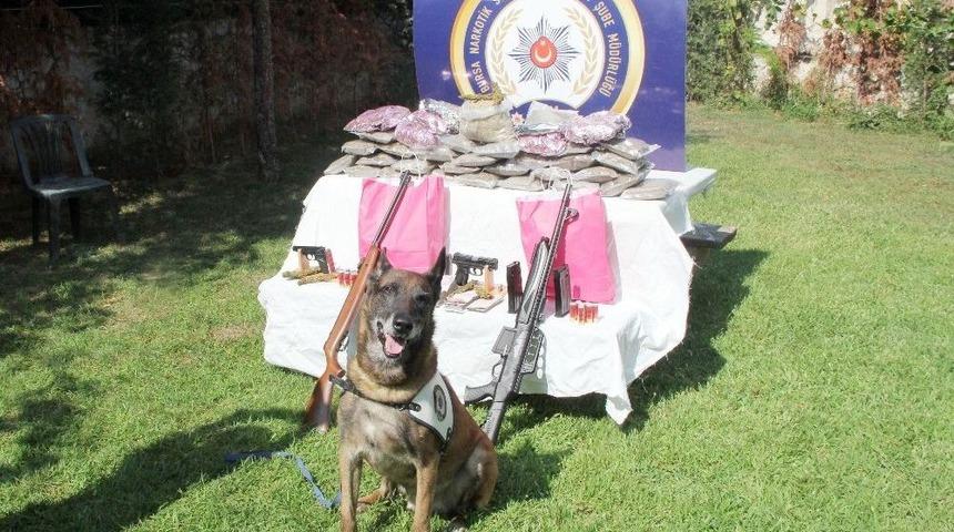 Bursa&rsquo;daki Uyuşturucu Operasyonunda 13 Tutuklama