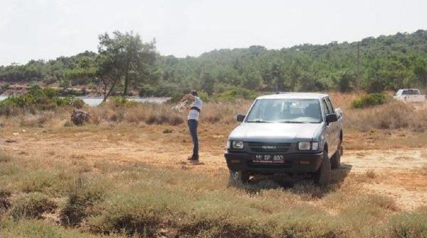 Ayvalık'ta Yanan Bölgeye Sembolik Fidan Dikimi