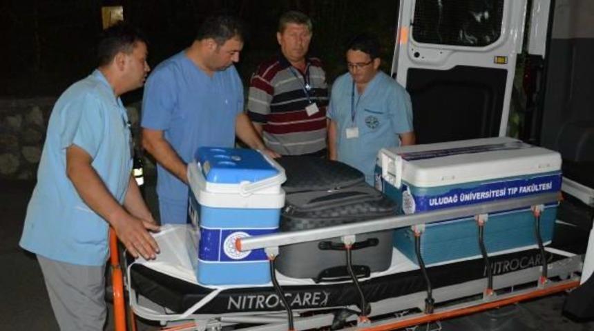 Organlarıyla 3 Kişiye Umut Olacak
