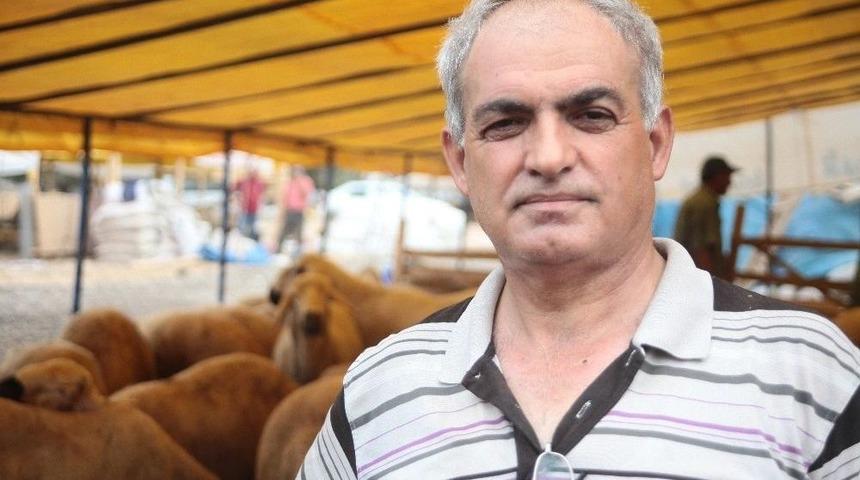 Kurbanlıklarda Karaborsa Korkusu