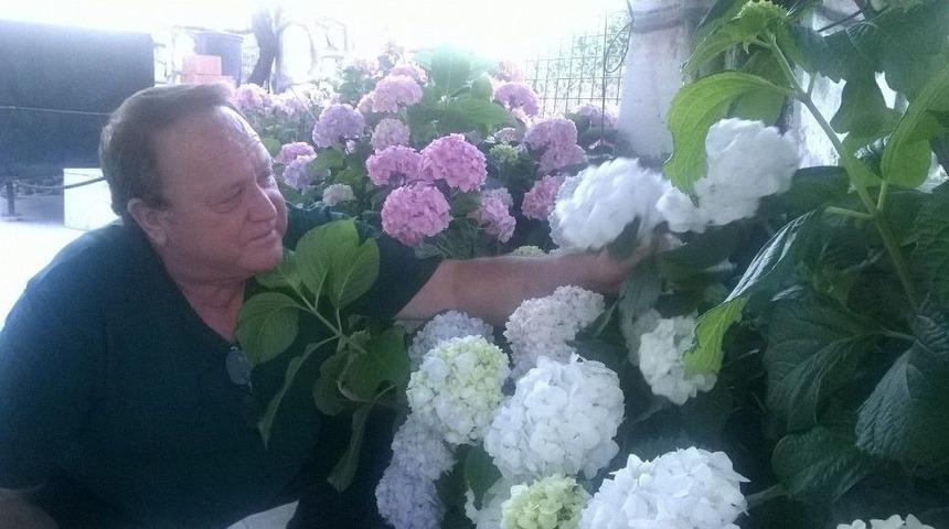 Sanat&ccedil;ının Ortanca &Ccedil;i&ccedil;eğine Yoğun İlgisi