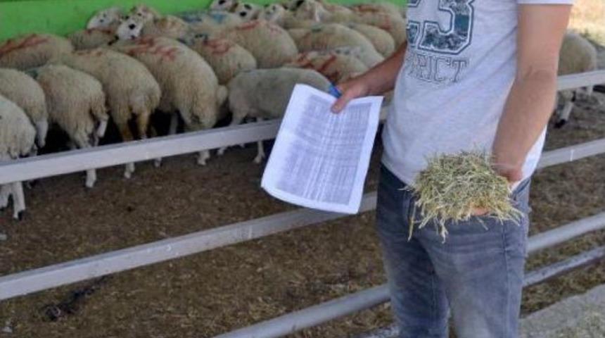 &Uuml;niversiteden Kurbanlık Satışı