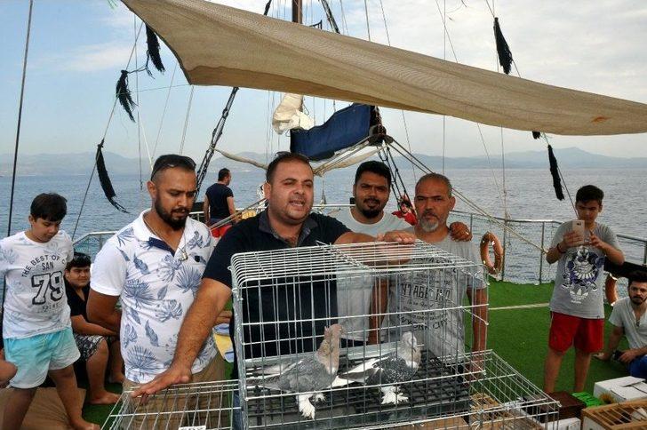 Güvercin Sevdası Denizlere Taştı G1