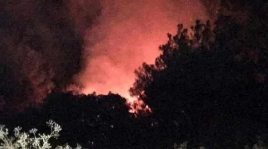 Kınık'ta Orman Yangını