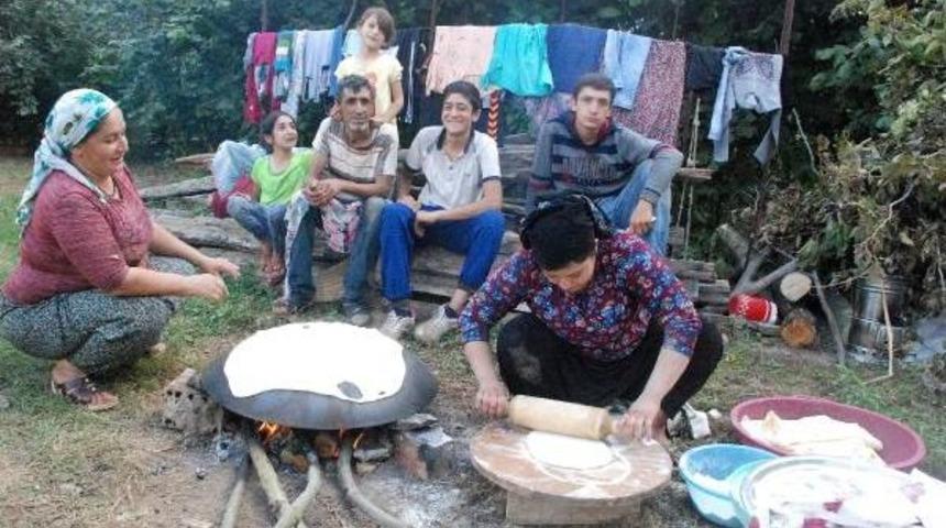 Ter&ouml;rden Ka&ccedil;an Aile, Fındık Toplayarak Ge&ccedil;imini Sağlıyor