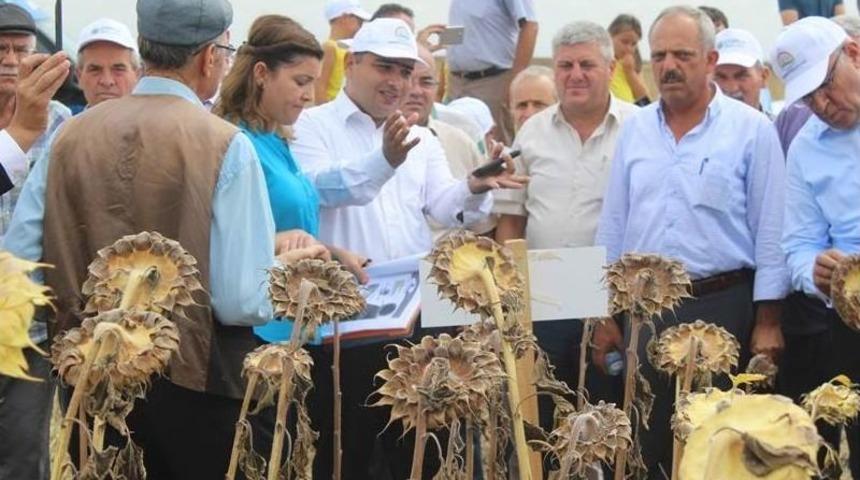 Ergene&rsquo;de Tarla G&uuml;n&uuml; D&uuml;zenlendi