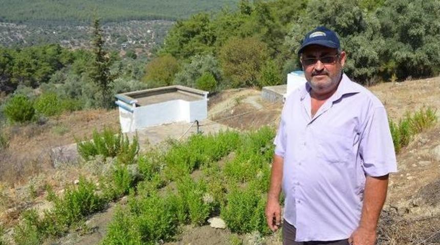 Taşıma Suyla Yaşıyorlar