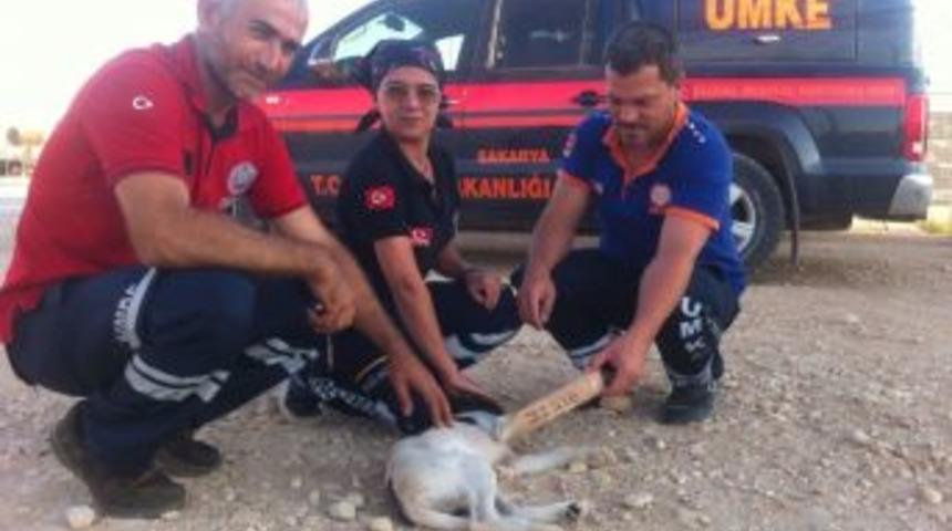 Sakarya Ve Sivas Umke Ekiplerinden &Ouml;rnek Davranış