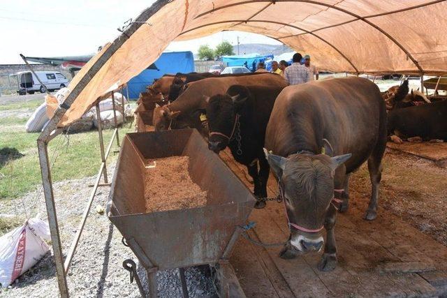 Kocasinan’da Bayram Öncesi Hizmet Seferberliği