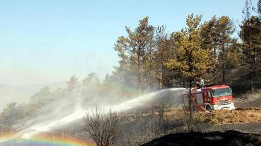 Oltu'da 10 Hektar Orman Yandı