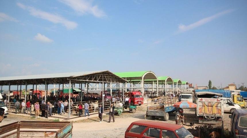 Beyşehir&rsquo;de Hayvan Pazarında Hazırlıklar Tamamlandı