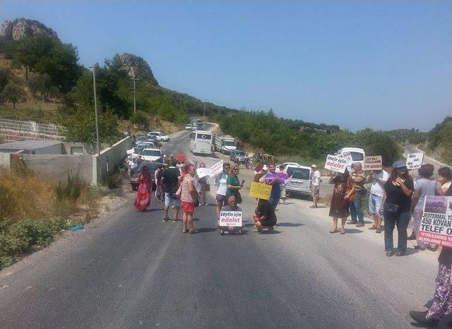 Kuşadası’nda ’jeotermal Enerji Santralleri’ Protestosu